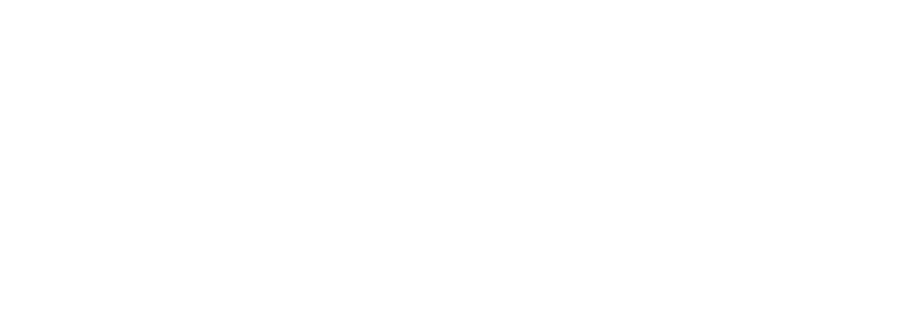 Logo-dsa18.png