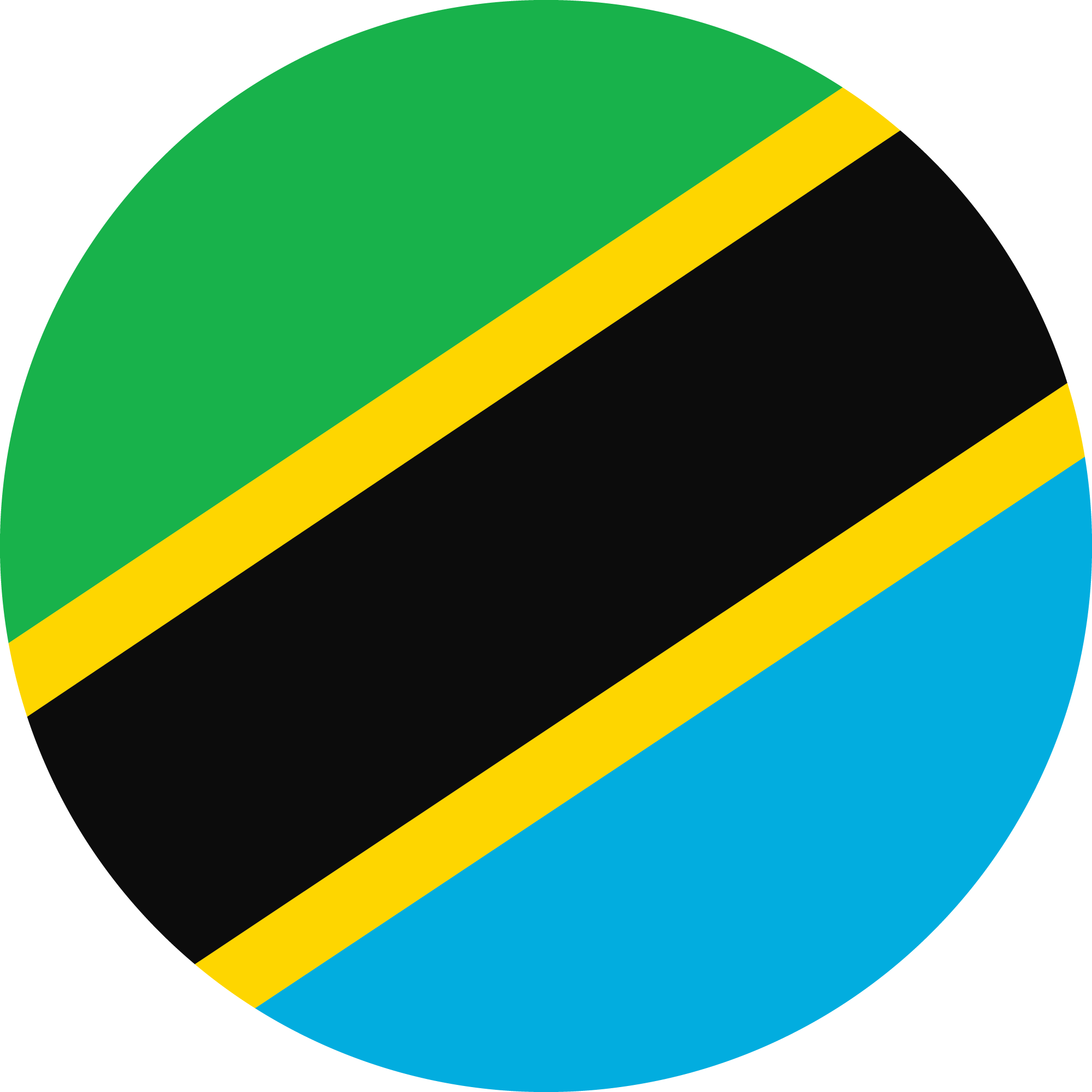 vecteezy_circle-flag-of-tanzania_11571231
